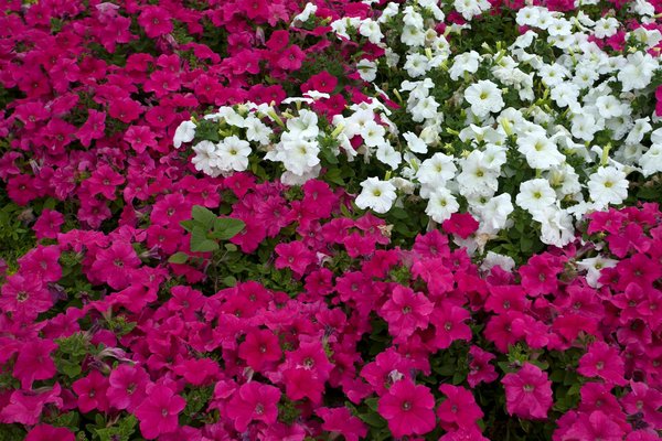 Décoder les styles des meubles anciens