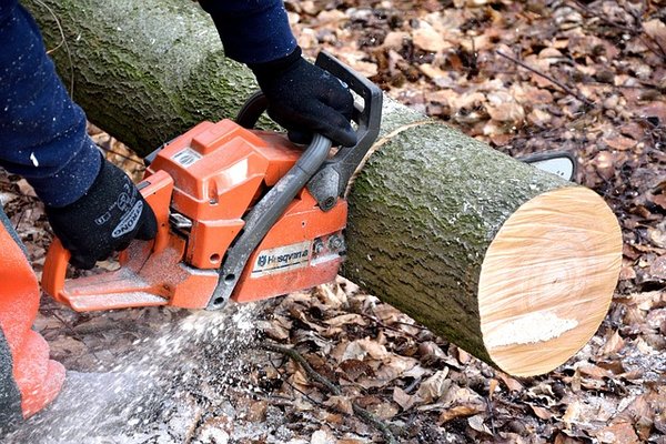 Révolution dans la coupe de bois : l'invention tronçonneuse de demain