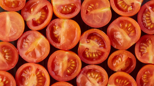 Graine tomate sans eau : des variétés à découvrir d'urgence